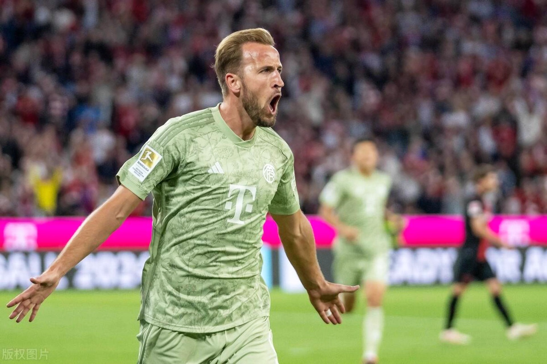 九游娱乐-关于凯恩赛事官方发布连败新规，塞尔维亚队争议不断！的信息